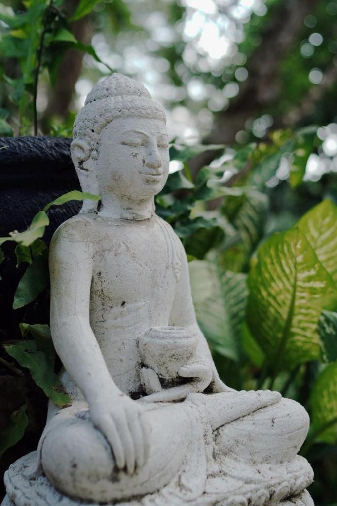 Sattva Yoga Retreat Villas Canggu Extérieur photo